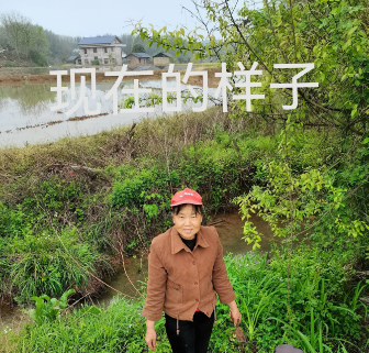 0505我又活过来了2.png
