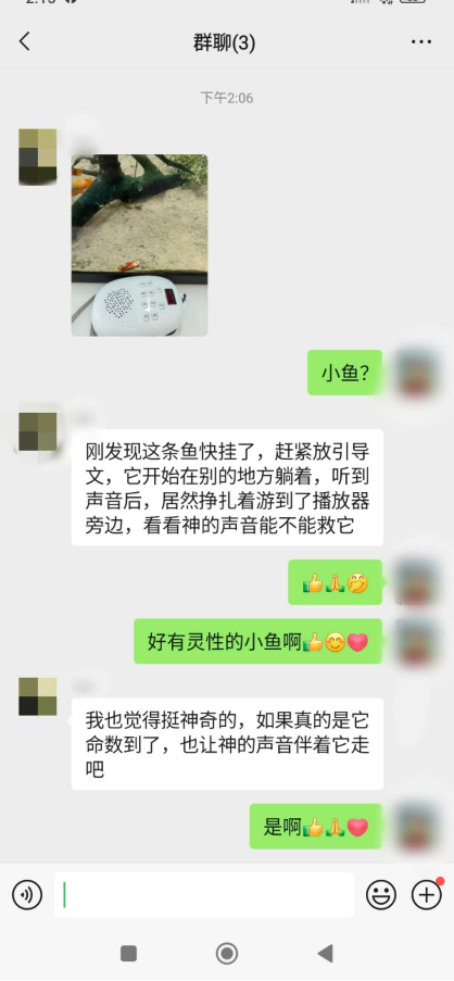 1012向往光明的小鸟和小鱼8.png