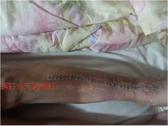 0101辞旧迎新，福至祸离2.png