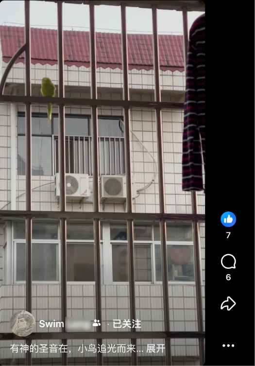 0306有神的圣音在，小鸟追光而来.png