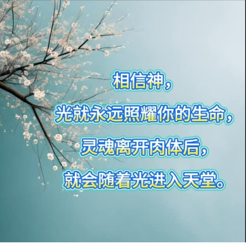 0307春天.png