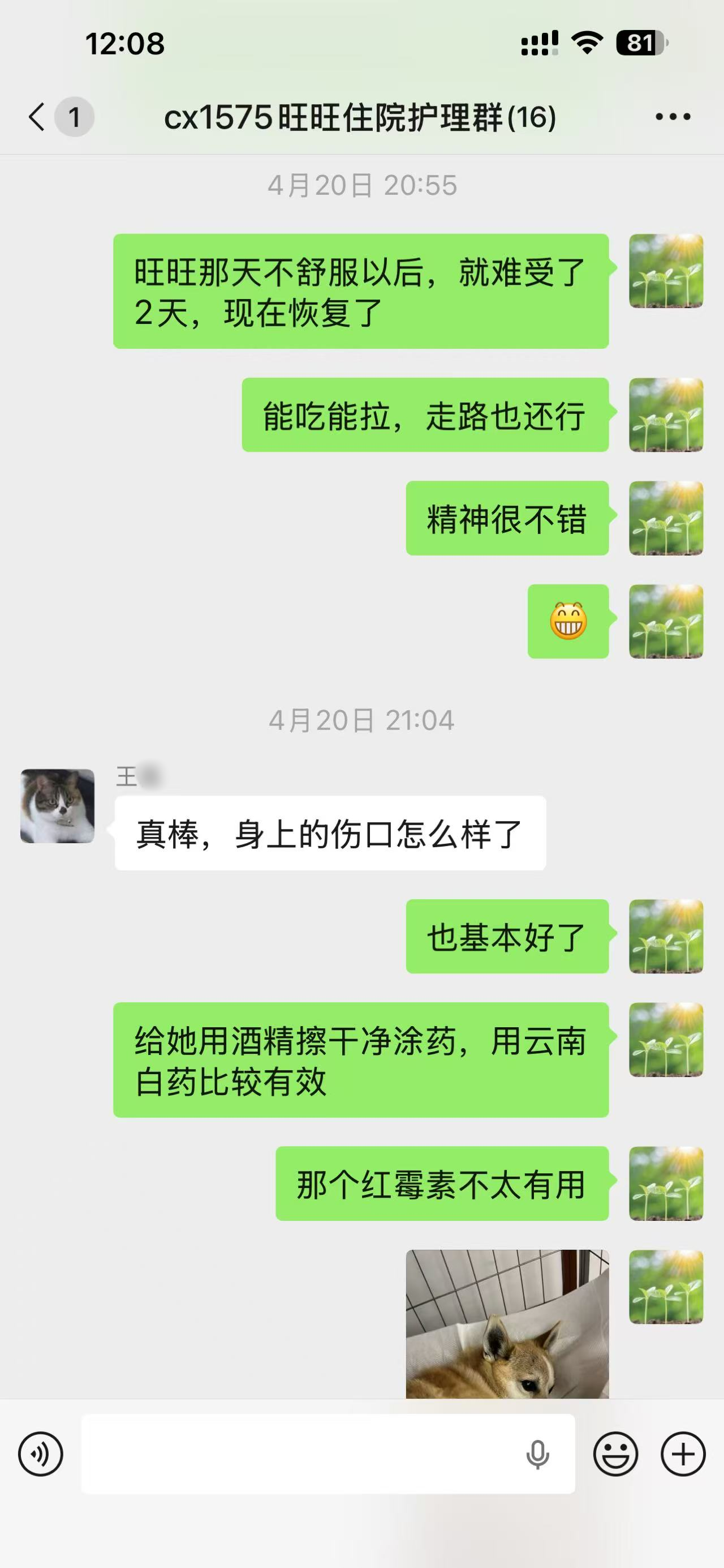 0521真实的救赎：旺旺小狗起死回生记录11.png
