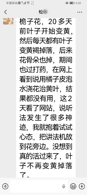 0527桅子花活过来了2.png