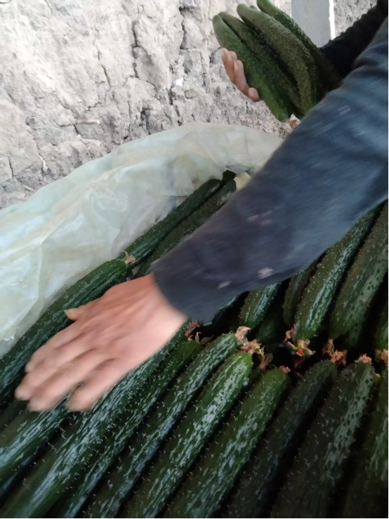 0709与神同在的力量1.png