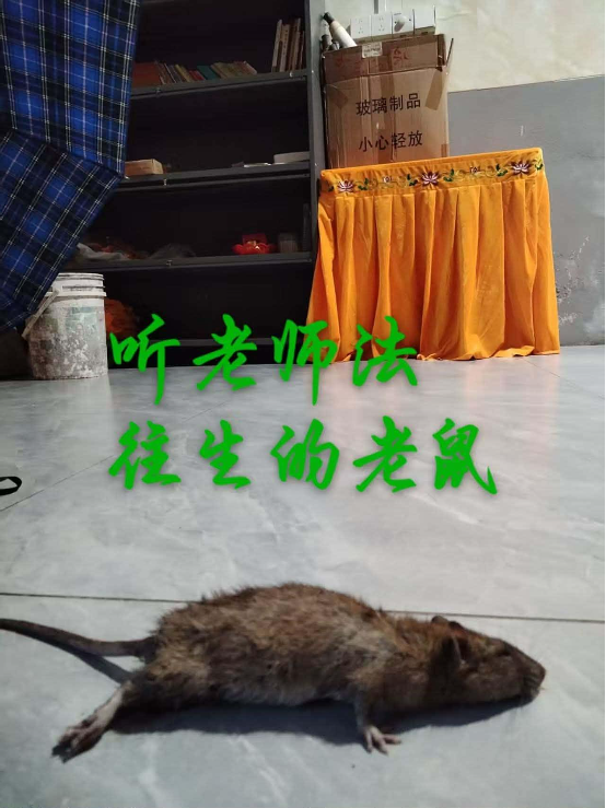 0730代诺师兄发帖.png