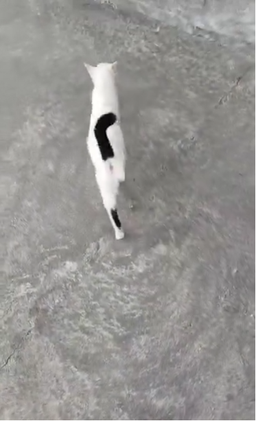 0912我家经历的神迹5.png