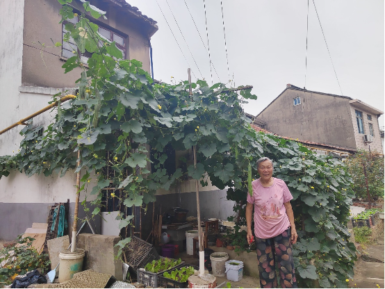 100186岁的老妈终于信了1.png